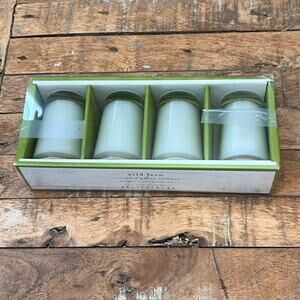Vintage Pottery Barn Wild Fern Scented Glass Votive Candle Set of 4